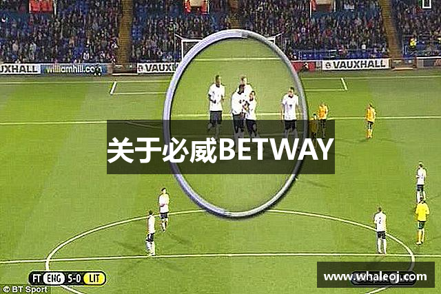 关于必威BETWAY